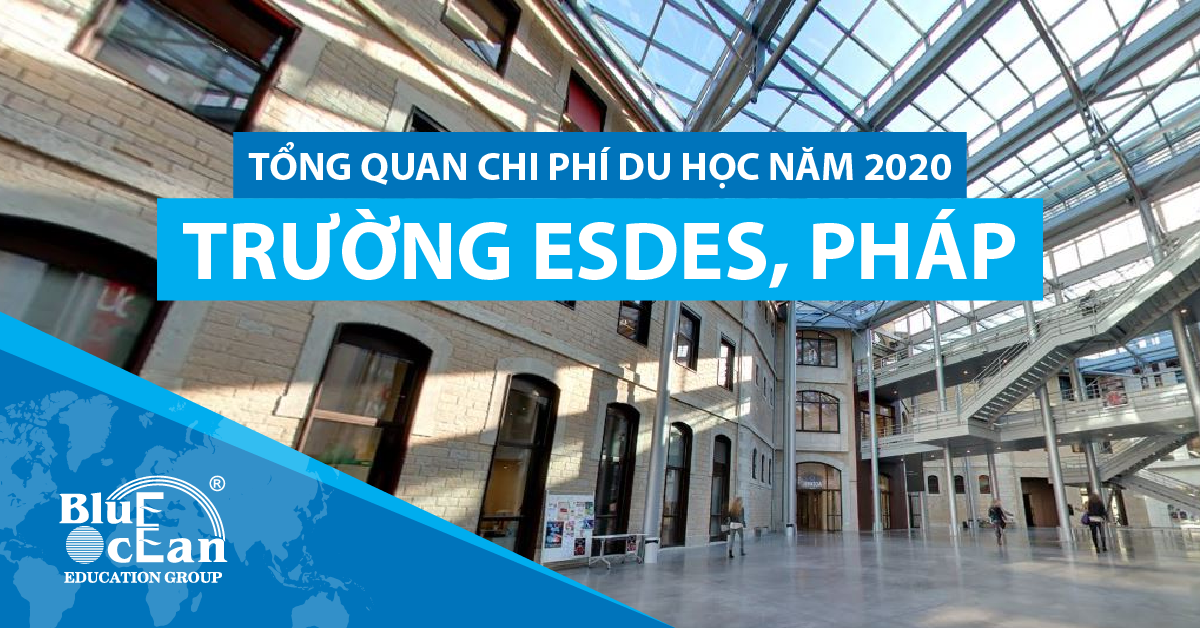 Tổng quan chi phí du học trường ESDES (Pháp) năm 2020